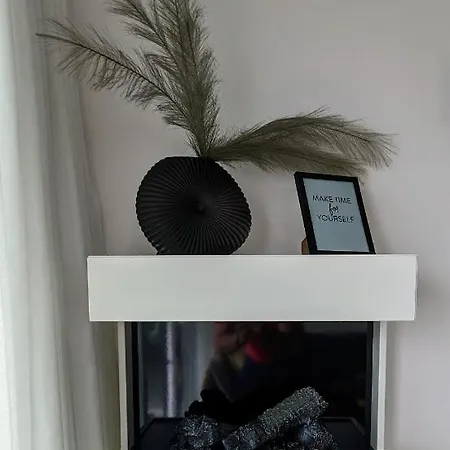 Hausboot Wangermeerblick ספינת מלון