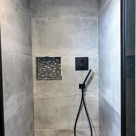 Hausboot Wangermeerblick ספינת מלון